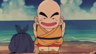 Dragon Ball | El Primer Torneo