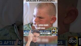 Sobrevive a 400 picaduras gracias a dragon ball.#supervivencia #sabíasque #curiosidades